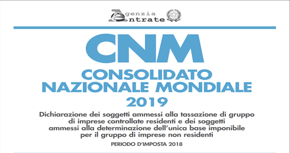 Consolidato nazionale mondiale 2019: modello e istruzioni