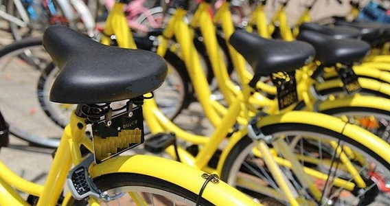 Rider: contratto, assicurazione INAIL e retribuzione nel Decreto Crisi Aziendali