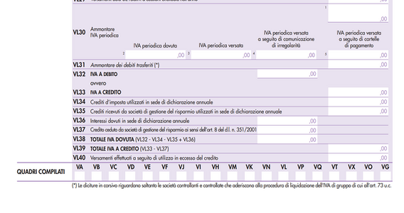 VL30: istruzioni compilazione e collegamenti con le Lipe