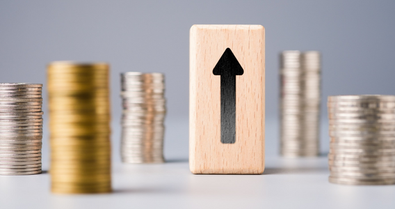 Regime forfettario: il nuovo limite della flat tax è sotto osservazione 