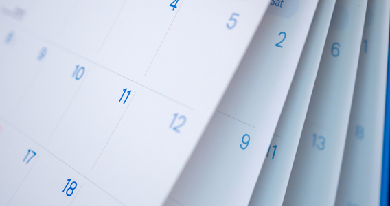 Scadenza rottamazione quater: si può pagare la rata fino al 9 marzo