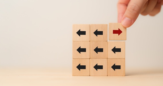 Rottamazione quinquies per i decaduti: chi è dentro e chi resta fuori