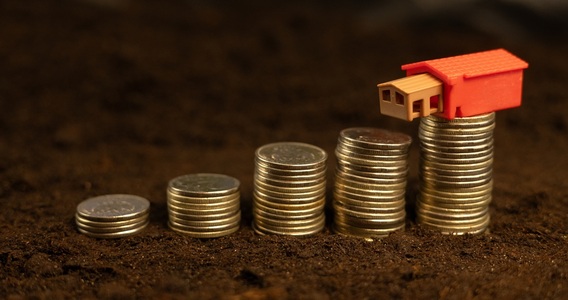 IRPEF agricola, esenzione a scaglioni confermata anche per il 2026