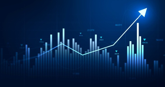 Partite IVA: redditi in aumento, ma il gap si allarga. La classifica nei dati MEF